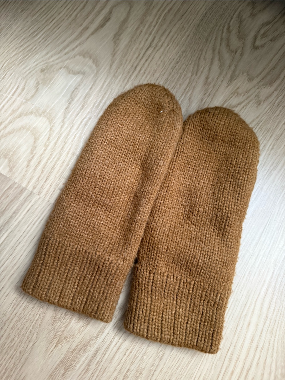 Aritzia Azsure Skies Camel Mittens